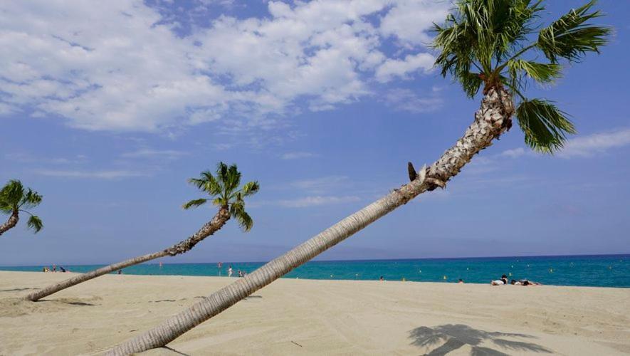 Appartement De Vacances - Splendide Vue Sur Mer, Parking Prive Le Barcares Exterior photo